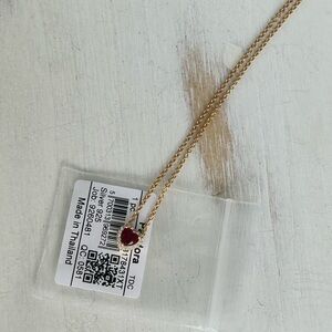 Elevated Heart Necklace
14k gold plating